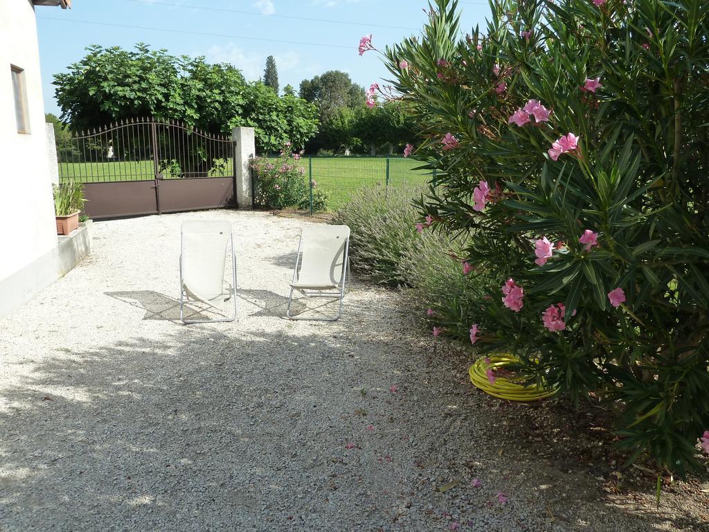 Le Mas De La Verdiere Avignon Ngoại thất bức ảnh